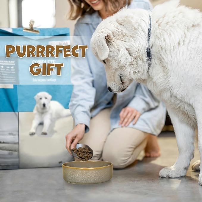 Ceramic Slow Feeder Dog Bowl Set with Stand, Cute Paw Slow Feeding Food Bowl and Water Bowl for Medium Breed, 6.3" Ceramic Non Slip Dog Dishes, Grey