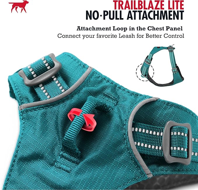 Tuff Pupper All-Day Wear Dog Harness | for Walking, Trail Running, Hiking | Front & Back Leash Clips | Reflective Trim | Easy On/Off Buckles | Lightweight Breathable | No Pull Design (XS, Teal)