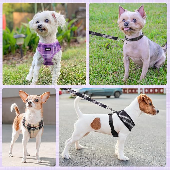 SCENEREAL No Pull Dog Harness Collar and Leash Set for Small Sized Dogs, Soft Mesh Step in Plaid Puppy Harnesses for Fall Winter, Pet Vest for Outdoor Walking Training and Running, Beige XS