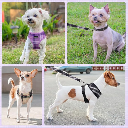 SCENEREAL No Pull Dog Harness Collar and Leash Set for Small Sized Dogs, Soft Mesh Step in Plaid Puppy Harnesses for Fall Winter, Pet Vest for Outdoor Walking Training and Running, Beige XS