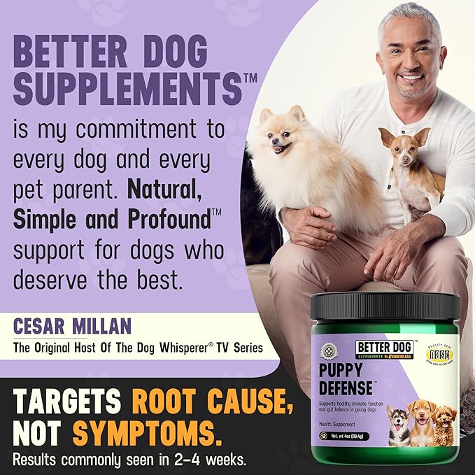 Cesar Millan Better Dog Immune Support for Puppies Powder - Puppy Defense for Pups’ Immunity, Dog Digestive Support & Gut Supplements for Dogs with Herbal Ingredients - 4 oz, 60-Day Average Supply