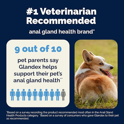 Vetnique Glandex Dog Wipes for Pets Cleansing & Deodorizing Anal Gland Hygienic Dog & Cat Wipes with Vitamin E, Skin Conditioners and Aloe Labs (100ct)