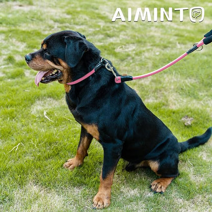 Dog Leash, Braided Rope Traction – Walking Training Lead for Small Dogs ((1/3") x 6FT, Pink)