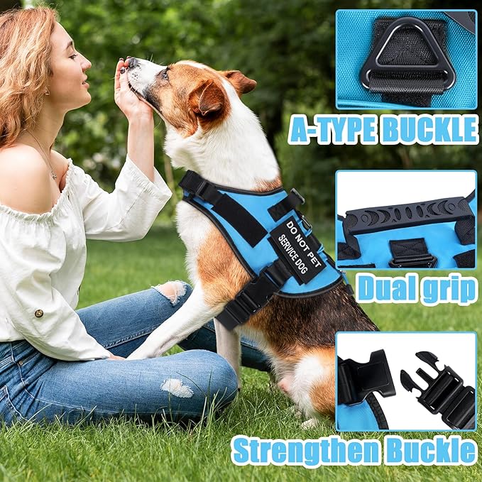 No Pull Dog Harness Small Medium Sized Dog, Service Dog Harness and Leash Set with 4 Patches, Adjustable Easy Walk Dogs Harnesses with Handle, Dogs Vest Harnesses French Bulldog, Chihuahua(Blue, M)