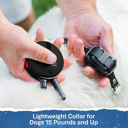 Educator ET-300 Black Mini E Collar for Dog Training with Remote - 1/2 Mile Range, Waterproof, 100 Blunt Stimulation Levels, Tone or Vibration Mode, Night Light Tracking for Small, Medium & Large Dogs