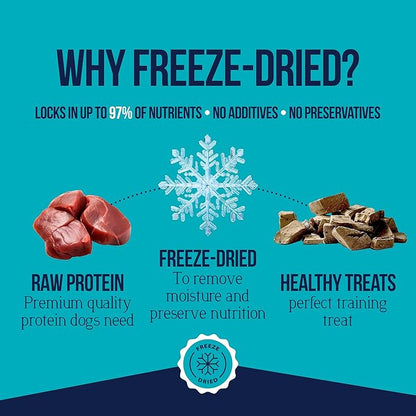 Stewart Beef Liver Dog Treats, 21 oz, ~475 Pieces, Freeze Dried Raw, Single Ingredient, 50% Protein Training Treats or Meal Topper in a Value Size Resealable Tub, Grain Free, Gluten Free