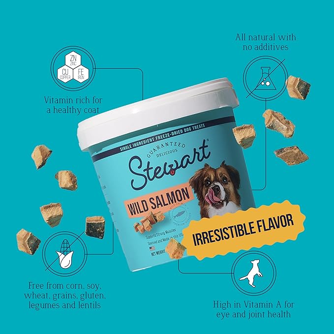 Stewart Wild Salmon Dog Treats, 2.75 oz, ~55 Pieces, Freeze Dried Raw, Single Ingredient, 65% Protein Training Treats or Meal Topper in a Resealable Tub, Grain Free, Gluten Free