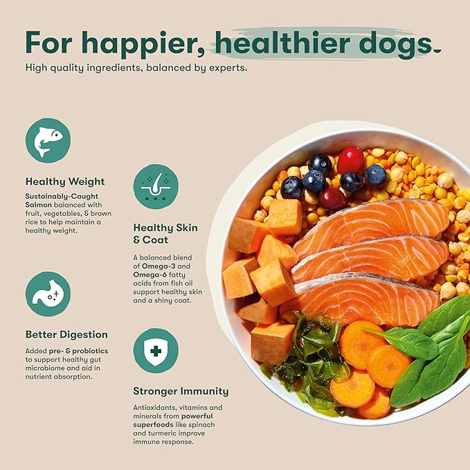Jinx Premium Grain-Free Dry Dog Food, for All Lifestages - Real Salmon, Sweet Potato & Carrot Kibble with Superfoods for Immune Support & Probiotics for Digestive Support - No Fillers - 11.5lb