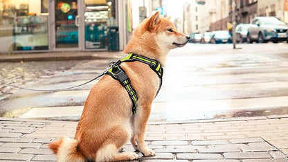 Ziggy Pet Dog Harness Adjustable Nylon Mesh Vest with Leash Clips (Green, Large)