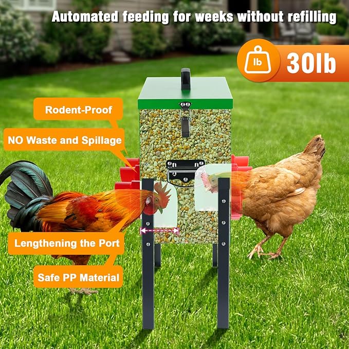 30lb Chicken Feeder- Automatic Port 6 Ports No Waste Poultry Feeder,Chicken Coop Accessories，Waterproof Metal Chicken Feeder Suitable for Poultry Feeding Outdoors and Indoors