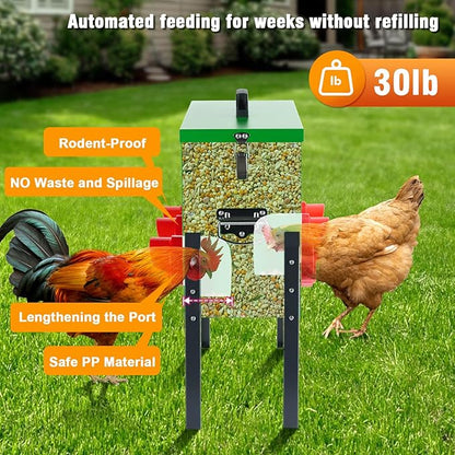 30lb Chicken Feeder- Automatic Port 6 Ports No Waste Poultry Feeder,Chicken Coop Accessories，Waterproof Metal Chicken Feeder Suitable for Poultry Feeding Outdoors and Indoors