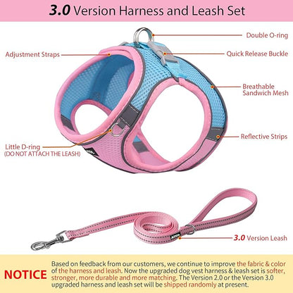 AIITLE Small Harness for Puppy with A Leash - Summer Dog Vest Harness with Super Breathable Mesh, Reflective No-Pull Pet Harness for Outdoor Walking, Camping for Small Dogs, Cats Pink XXS