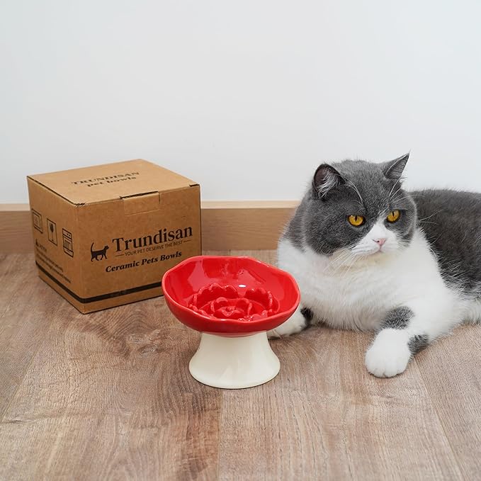 Ceramic Slow Feeder Bowl for Cats and Small Dogs, Elevated Tilted Pet Food Dish, Whisker Friendly Anti-Vomit Design, Heavy Stable Base, Dishwasher Safe， 5 Colors Options (Ruby Red)