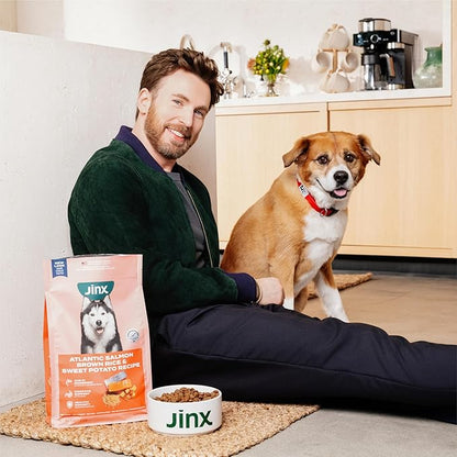 Jinx Premium Grain-Free Dry Dog Food, for All Lifestages - Real Salmon, Sweet Potato & Carrot Kibble with Superfoods for Immune Support & Probiotics for Digestive Support - No Fillers - 11.5lb