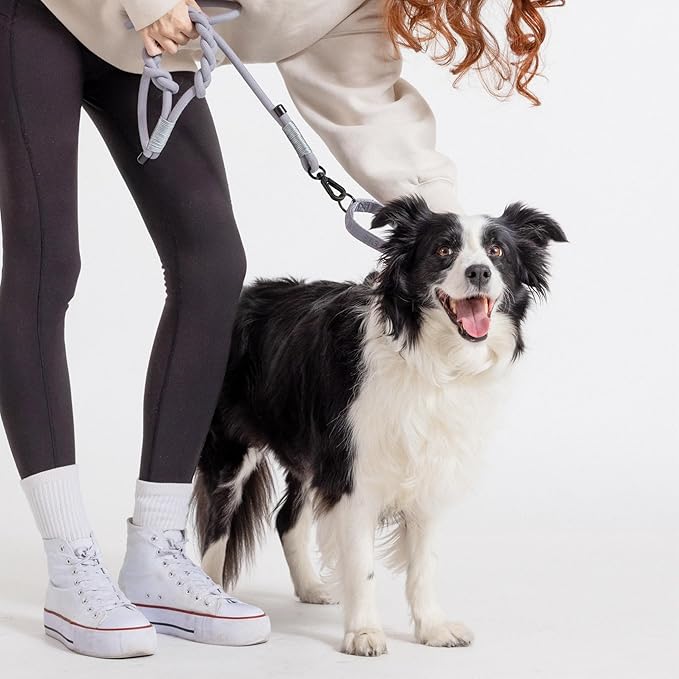 2025 New Edition, Fei & Eve Hand-Braided Dog Leash, 6FT | SP Cotton Material | Heavy Duty Training | Comfort Grip Handle for Small/Medium/Large Dogs, Gray