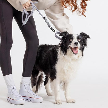 2025 New Edition, Fei & Eve Hand-Braided Dog Leash, 4FT | SP Cotton Material | Heavy Duty Training | Comfort Grip Handle for Small/Medium/Large Dogs, Gray