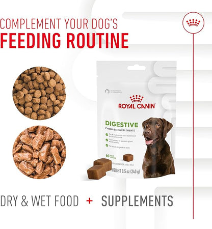 Royal Canin Digestive Dog Supplement Soft Chews for Adult Dogs, 60 Count (Pack of 4)