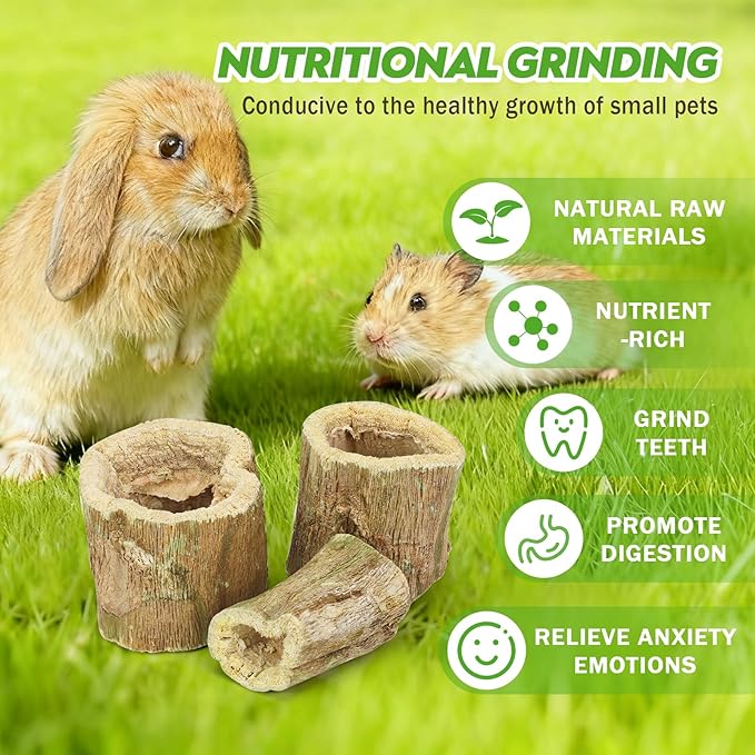 3.5oz Rabbit Chew Toys for Teeth，Bunny Papaya Wood Chew Toys Guinea Pig Treats with Apple Stick for Rabbits Guinea Pigs Hamsters Chinchillas Gerbils Prevent Teeth Overgrowth (3.5 oz, original)