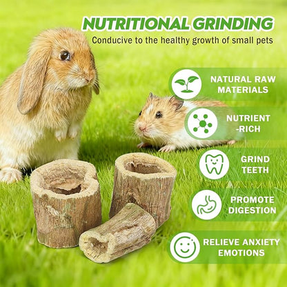 3.5oz Rabbit Chew Toys for Teeth，Bunny Papaya Wood Chew Toys Guinea Pig Treats with Apple Stick for Rabbits Guinea Pigs Hamsters Chinchillas Gerbils Prevent Teeth Overgrowth (3.5 oz, original)