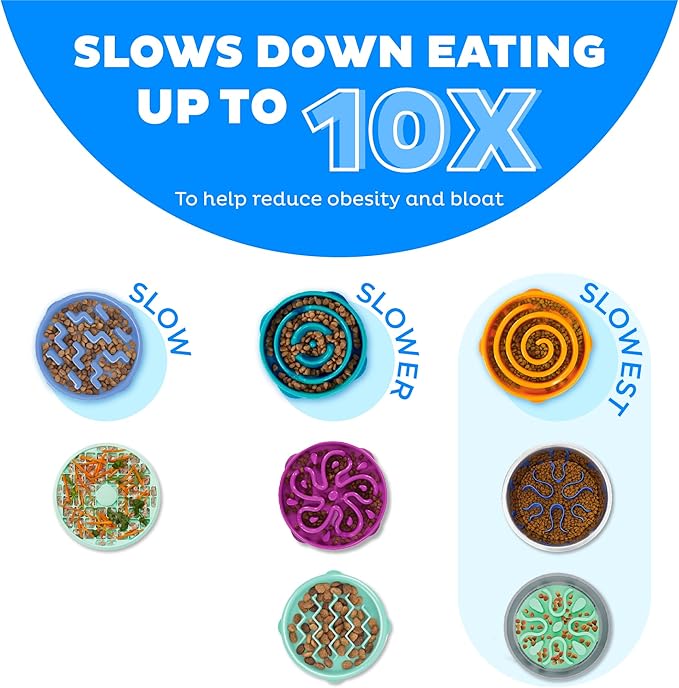 Outward Hound Stainless Steel Slow Feeder Bowl, Plastic Puzzle Maze for Fast Eaters, Small to Medium Dogs, Helps Prevent Bloat & Aid Digestion, Holds 2 Cups Wet or Dry Food, Non-Slip, Made Without BPA