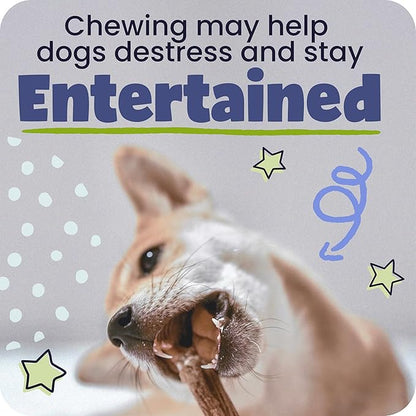 Pawstruck All-Natural 9" Bully Sticks for Dogs - Long Lasting, Rawhide-Free, Low Odor & Grain-Free Dental Chew Treat - Healthy Single Ingredient, 100% Real Beef - 1 lb Bag