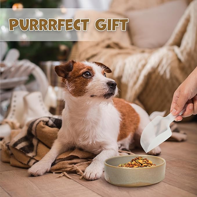 Ceramic Slow Feeder Dog Bowl Set with Stand, Cute Paw Slow Feeding Food Bowl and Water Bowl for Small Breed, 5.2" Ceramic Non Slip Dog Dishes, Grey