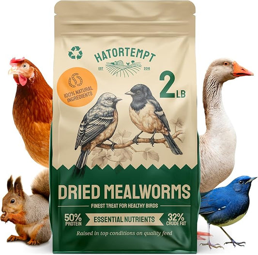 Hatortempt Dried Mealworms - High Protein Chicken Feed Supplement - Mealworms for Wild Birds & Chickens & Turtles (2lb Bag)