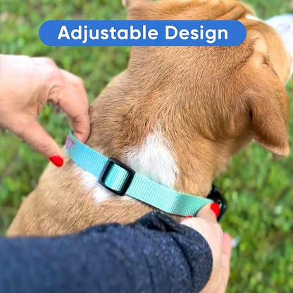 Pawtitas Personalized Dog Collar Extra Small Dog Collar Embroider with Name Phone Number Puppy Collar Adjustable Customized Collar for Extra Small Dogs Breeds Puppy Pink Dog Collar