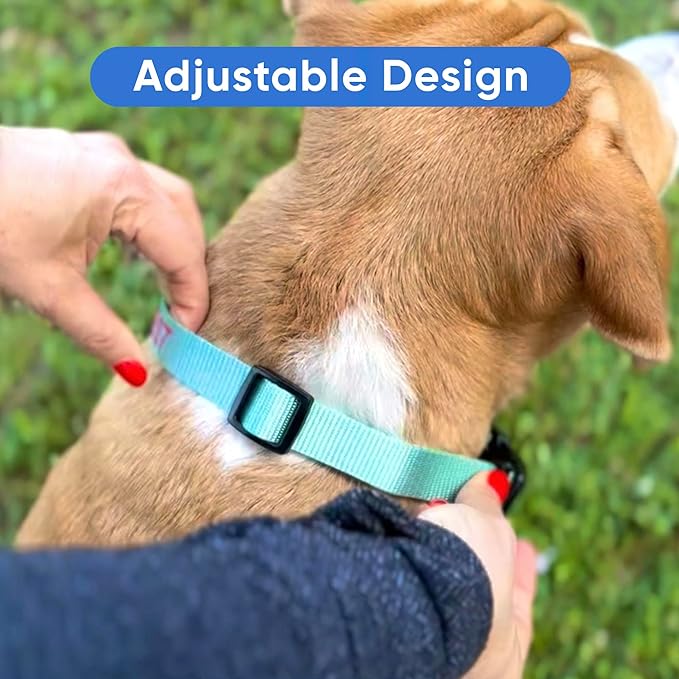 Pawtitas Personalized Dog Collar - Embroidered with Name & Phone Number - Adjustable, Customized Collar for Small Dogs & Puppies - Pink