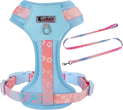 Small Durable Dog Harness with Leash Set, Cute Mesh Puppy Harness, No Pull No Choke Escape Proof Pet Harness Easy Walking, Blue Crush S