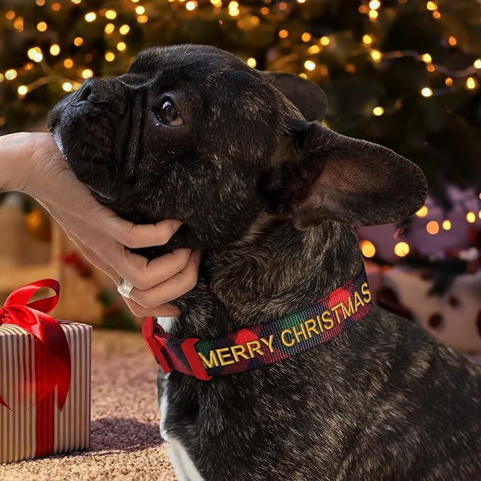Pawtitas Personalized Dog Collar Dog Soft Adjustable Puppy Collar Customizable Embroidered add Pet Name Phone Number or Phrase Small Gift Wrap