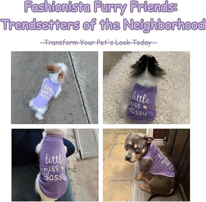 Paiaite Dog Clothes Fashionable Sleeveless Pet Vest: 'Little Miss Sassy' Printed Cotton Dog Shirt, Ideal for Small, Medium, and Large Breeds, Ensuring Comfort and Breathability Purple M
