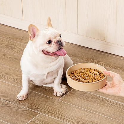 vancasso Slow Feeder Dog Bowl, 0.6 Cups Ceramic Dog Food Dish for Fast Eaters Small Breed, Puzzle Bowl for Small Dogs and Cats, Khaki