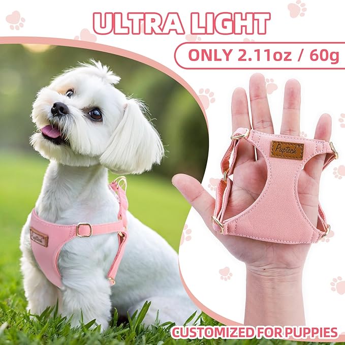 PUPTECK Dog Harness and Leash Set Small Sized, Step-in Cute Puppy Harness, Soft Lightweight Padded Vest, Escape Proof No Pull Pet Harnesses Easy for Walking, Pink, S
