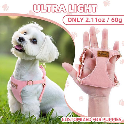 PUPTECK Dog Harness and Leash Set Small Sized, Step-in Cute Puppy Harness, Soft Lightweight Padded Vest, Escape Proof No Pull Pet Harnesses Easy for Walking, Pink, S