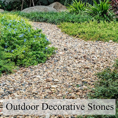 2 lbs Aquarium Gravel, 2/5 inch Pea Gravel for Fish Tank, Decorative Pebbles River Rocks for Plants Succulent Vase Indoor Water Fountains and Outdoor Landscaping