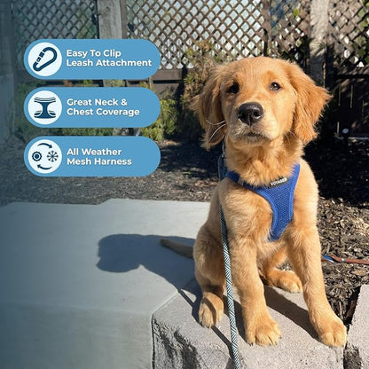 Voyager Step-in Air All Weather Mesh Harness and Reflective Dog 5 ft Leash Combo with Neoprene Handle, for Small, Medium and Large Breed Puppies by Best Pet Supplies - Set (Royal Blue), S