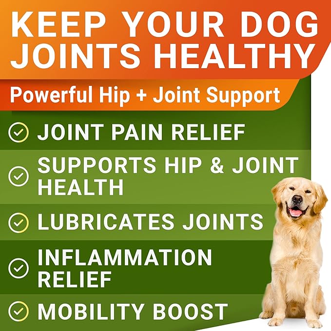 STRELLALAB Glucosamine Treats for Dogs - Joint Supplement w/Omega-3 Fish Oil - Chondroitin, MSM - Advanced Mobility Chews - Joint Pain Relief - Hip & Joint Care - Peanut Butter Flavor - 240 Ct