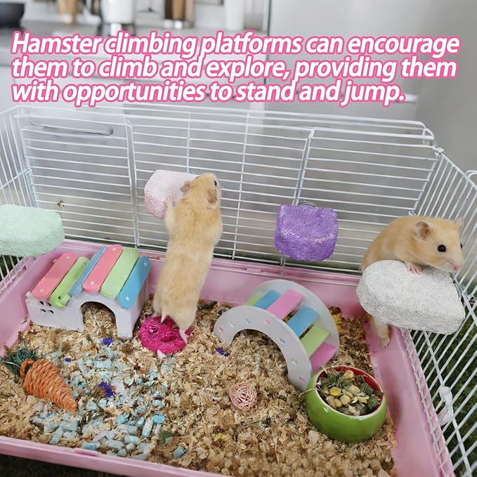 kathson 4PCS Hamster Climbing Ledge Platform, Hamster Lava Ledge, Pet Chewing GrindingToys Chinchillas Lava Block Toys Small Animals Cage Accessories for Guinea Pig, Squirrel, Gerbil, Bird