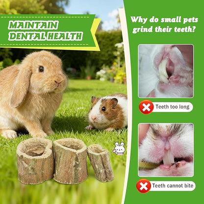 3.5oz Rabbit Chew Toys for Teeth，Bunny Papaya Wood Chew Toys Guinea Pig Treats with Apple Stick for Rabbits Guinea Pigs Hamsters Chinchillas Gerbils Prevent Teeth Overgrowth (3.5 oz, original)