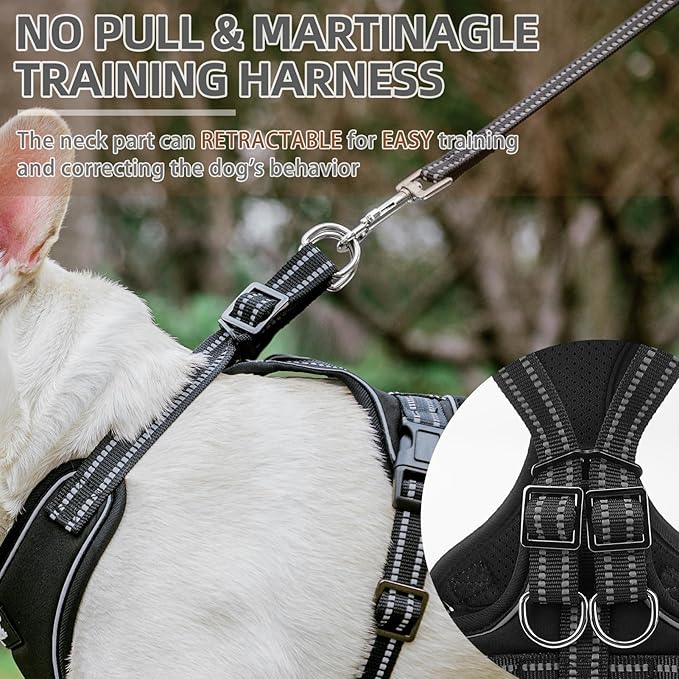 PUPTECK Dog Harness and Leash Set Small Sized, Adjustable Reflective Escape Proof Puppy Vest, No Pull Walking Harness Easy Control