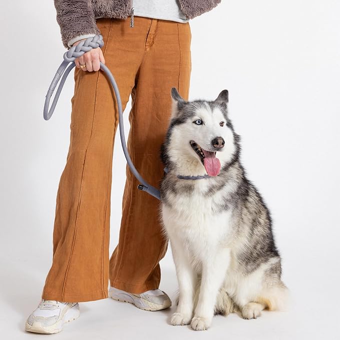 2025 New Edition, Fei & Eve Hand-Braided Dog Leash, 6FT | SP Cotton Material | Heavy Duty Training | Comfort Grip Handle for Small/Medium/Large Dogs, Gray
