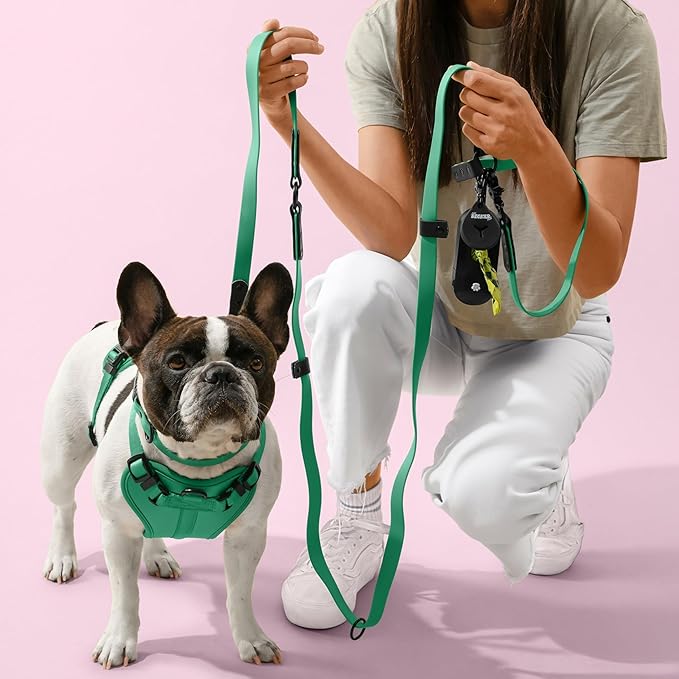 HNS1001K Arlo Small Adjustable Soft Padded No Pull Pet Harness with 3 Buckles and 3 Leash Clips, Julep