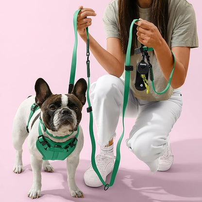 HNS1001K Arlo Small Adjustable Soft Padded No Pull Pet Harness with 3 Buckles and 3 Leash Clips, Julep