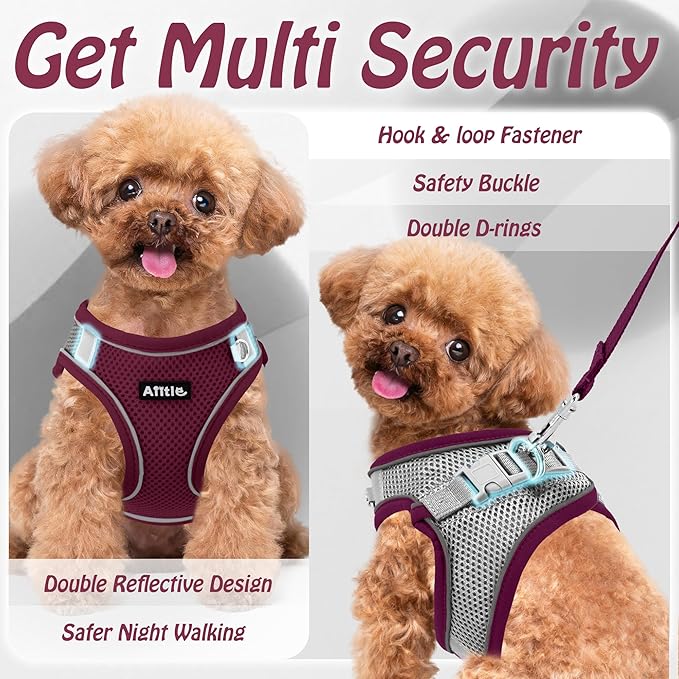 AIITLE Dog Harness, Summer No-Pull Cat Harness with a Leash, Adjustable Reflective Dog Vest, Cat Harness Escape Proof, Outdoor Walking, Camping for Extra Small Dogs and House Cats Burgundy XXXS