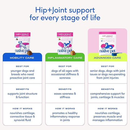 Native Pet Advanced Care - Hip & Joint Supplement for Dogs - Supports Joints, Cartilage, Muscles & Anti-Inflammatory with HMB, UC-II Collagen, Green Lipped Mussel & Hyaluronic Acid - 120 Scoops