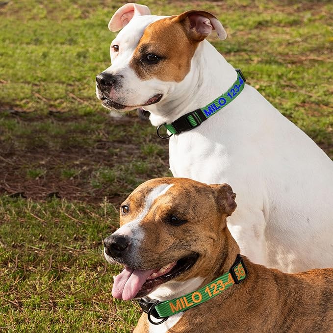 Pawtitas Personalized Dog Collar Small Dog Collar Embroider with Name Phone Number Puppy Collar Adjustable Customized Collar for Small Dogs Breeds Puppy Green Dog Collar