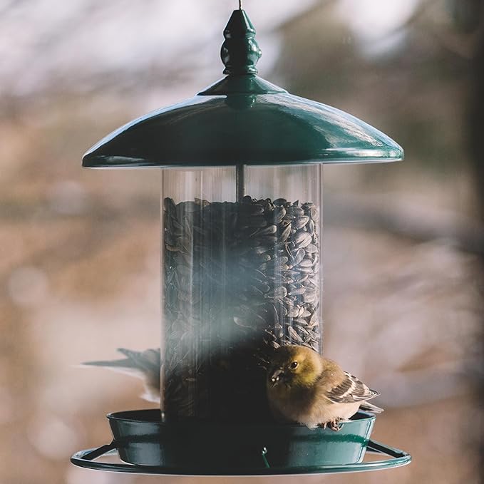 Metal Bird Feeder for Outside Hanging,Wild Bird Feeders for Cardinal, Large Roof and Tray - 6 Port