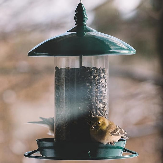 Metal Bird Feeder for Outside Hanging,Wild Bird Feeders for Cardinal, Large Roof and Tray - 6 Port