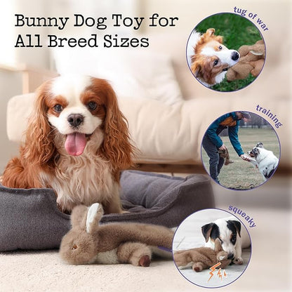 No-Stuffing Bunny Squeaky Dog Toy, Cute Plush Puppy Teething Toy to Keep Them Busy, Rabbit Interactive Tug of War & Dental Chew for Small Medium Large Dogs